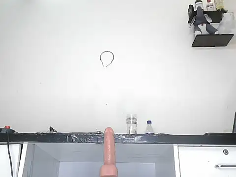 ElegantMiss snapshot