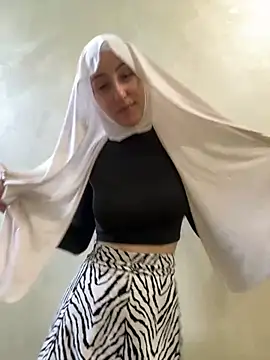 FlexibleDoll_ snapshot