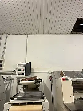 Gatitacarlita snapshot