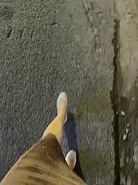 Meii-meyy snapshot