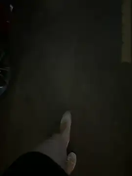 Meii-meyy snapshot