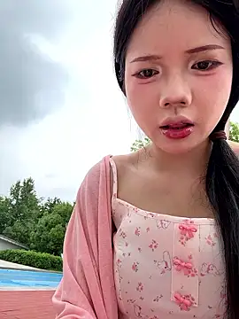 Pippin-19 snapshot