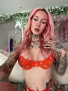 Stella-Kink snapshot