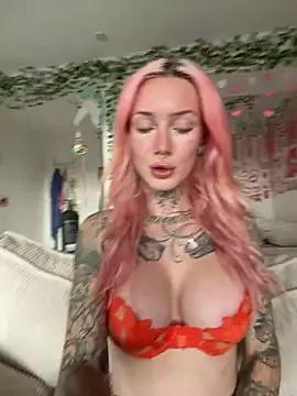 Stella-Kink snapshot