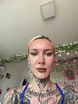 Stella-Kink snapshot