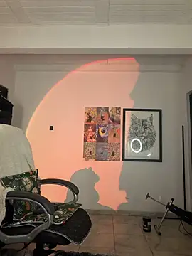 aly_golden_ snapshot