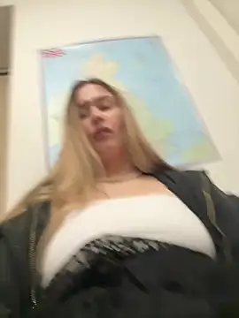 blonde_exe snapshot