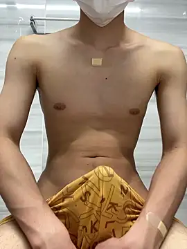 chinsemechan snapshot