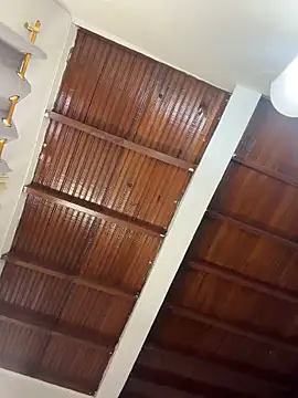 emiss_ snapshot