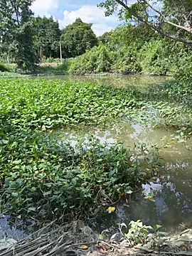 fishinggirl2k snapshot