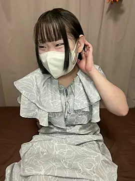 mini_mini_ snapshot