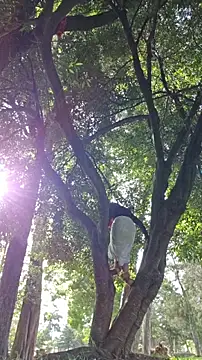 sorpresa_x live cam, Colombia, Thin, Red, Green - EroticFlix