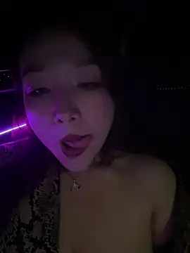 ssaimi snapshot